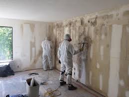 Why You Should Choose Our Mold Remediation Services in Tobaccoville, NC